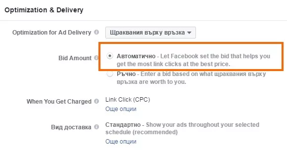 Аукцион на реклами във Facebook: всичко, за което се бояхте да попитате - изображение 5