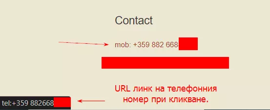 роследяваме кликнатия URL от клиента. Самият телефонен номер трябва да бъде кликаем, за да може да се проследи: