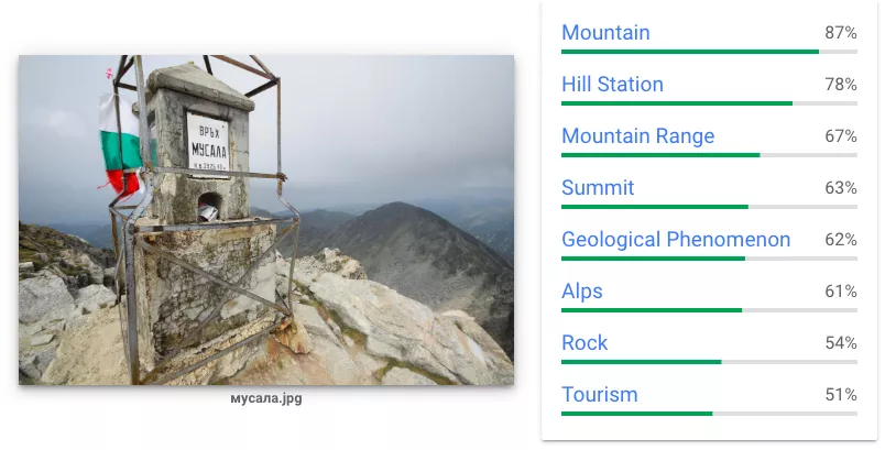 Google Cloud Vision API - Анализ на изображения - изображение 5