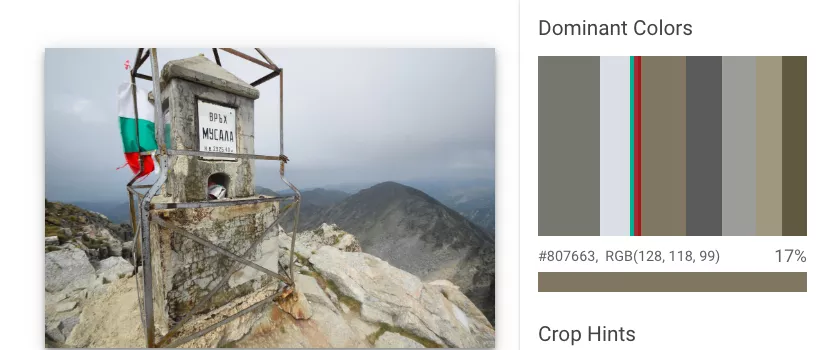 Google Cloud Vision API - Анализ на изображения - изображение 7