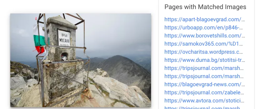 Google Cloud Vision API - Анализ на изображения - изображение 8