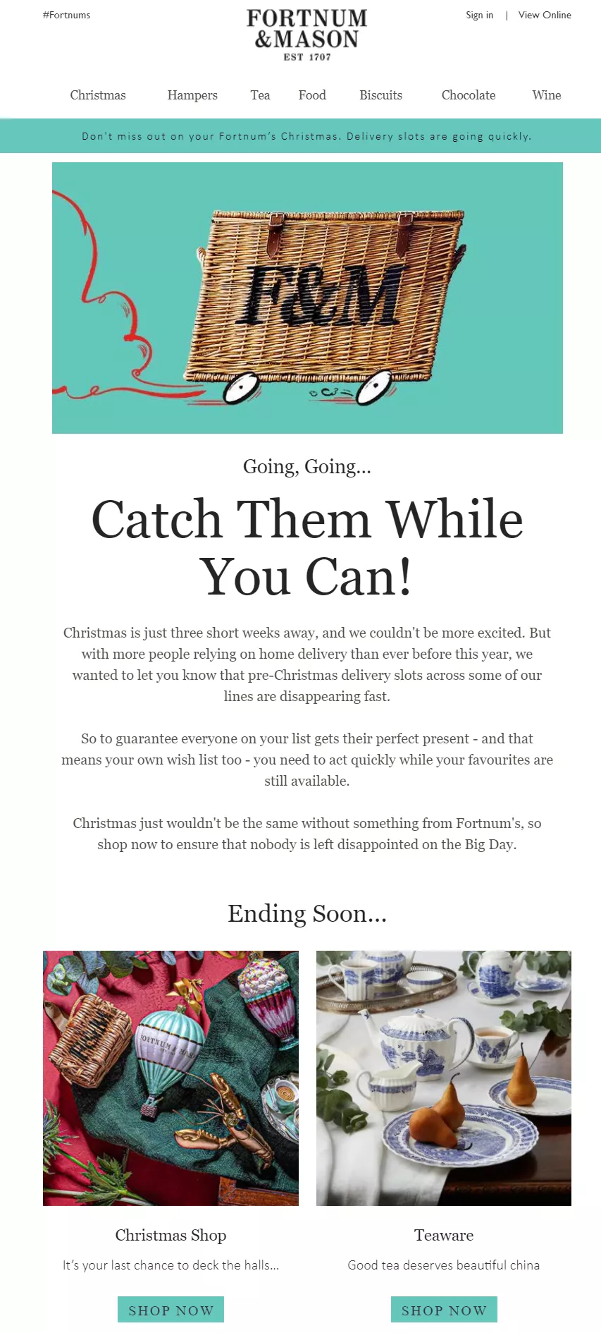 promotional christmas email with product highlights