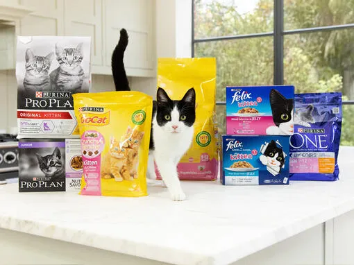 Кейс: миграция на сайт и спад до възстановяване на трафика на Purina.bg
