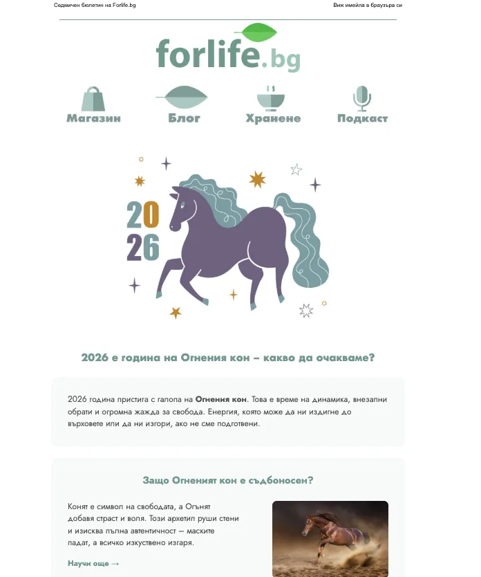 Имейл кампания с Canva: как лесно да създадете красив и функциониращ имейл - изображение 20